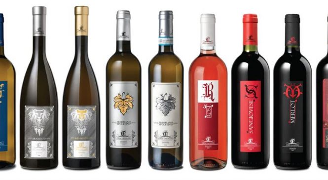 Una nuova cantina umbra per Winelivery – Colle Unciniano