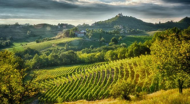 Di Gavi in Gavi nell’estate 2018