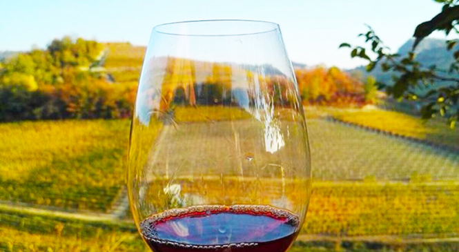 Le 5 cose che non ti aspetti sulla Barbera