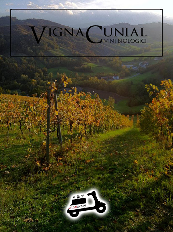 #winestories – I vini biologici di Vigna Cunial