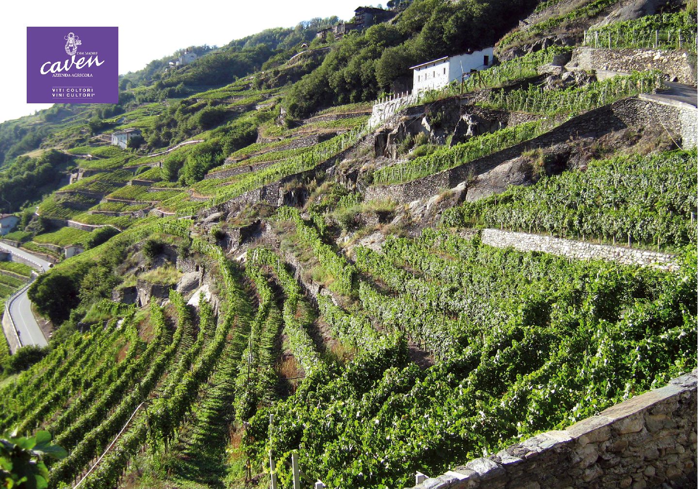 #winestories – Caven e winvelivery uniscono innovazione e tradizione!
