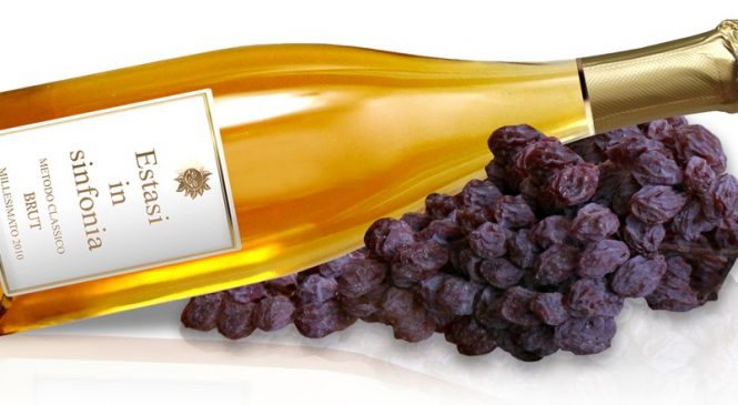 Estasi in Sinfonia per Winelivery