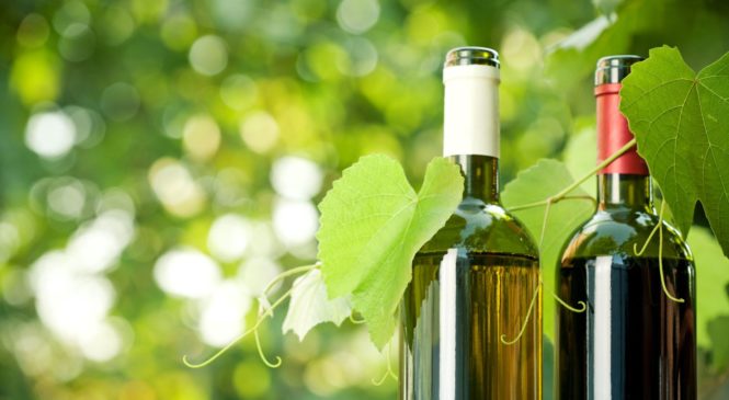 GO VEGAN! Anche il vino può essere vegano…