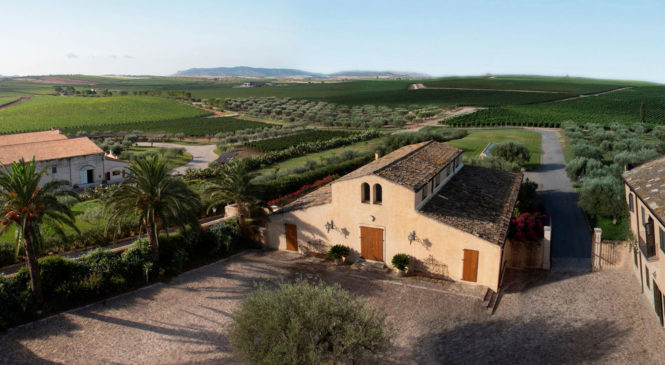 L’Estate è un lontano ricordo? Torna in Vacanza con questi fantastici Vini di Principi di Butera!