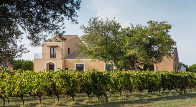 Vino e Natura secondo Feudo di Santa Tresa – La produzione Biologica
