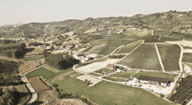Carlin De Paolo: i vini Piemontesi “Come una volta”