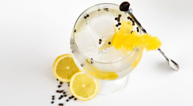 Gin e Acqua Tonica: da medicina per la malaria a famoso cocktail, il “Gin Tonic”