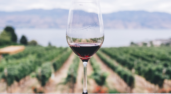 VOULEZ-VOUS VINO FRANCESE?