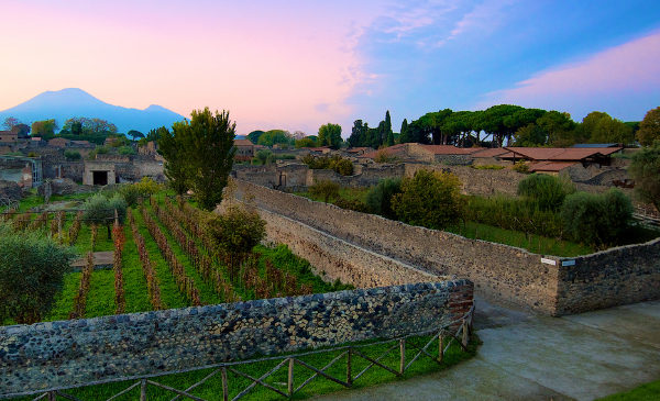 DALLA TERRA AL CALICE, L’ARTE DEL VINO DI MASTROBERARDINO