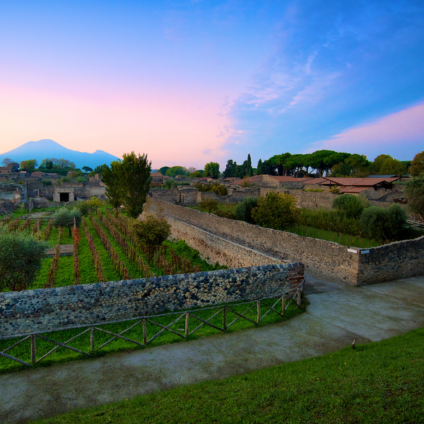 DALLA TERRA AL CALICE, L’ARTE DEL VINO DI MASTROBERARDINO