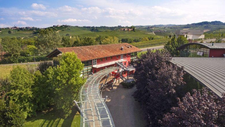 Vite Colte: dove il vino racconta le Langhe di Cesare Pavese